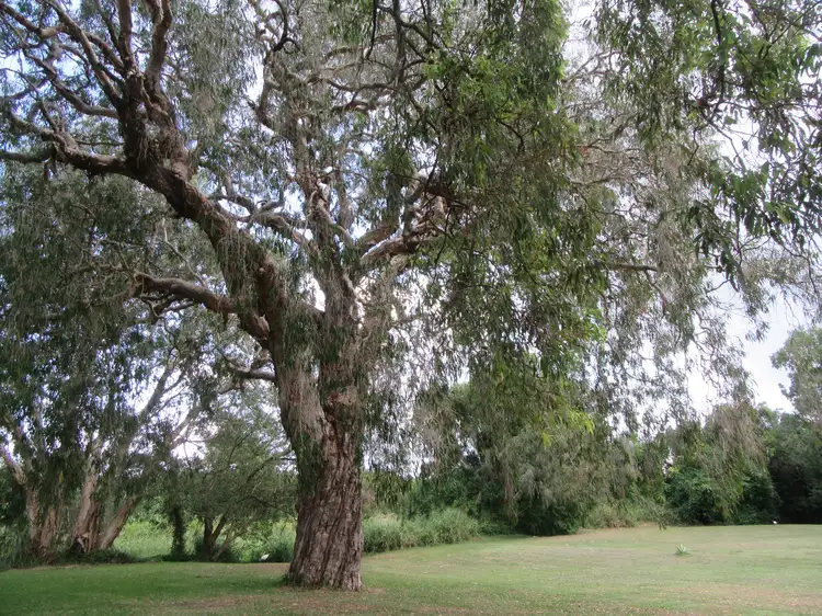 Third view of Homely land listing, 27B McMahon Street, Andergrove QLD 4740