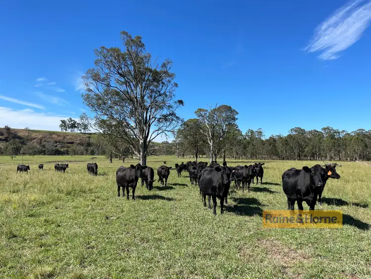 Sixth view of Homely rural property listing, 358 Upper Avon Road, Gloucester NSW 2422