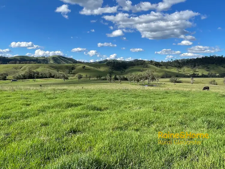 Main view of Homely rural property listing, 732 Bucketts Way East, Gloucester NSW 2422