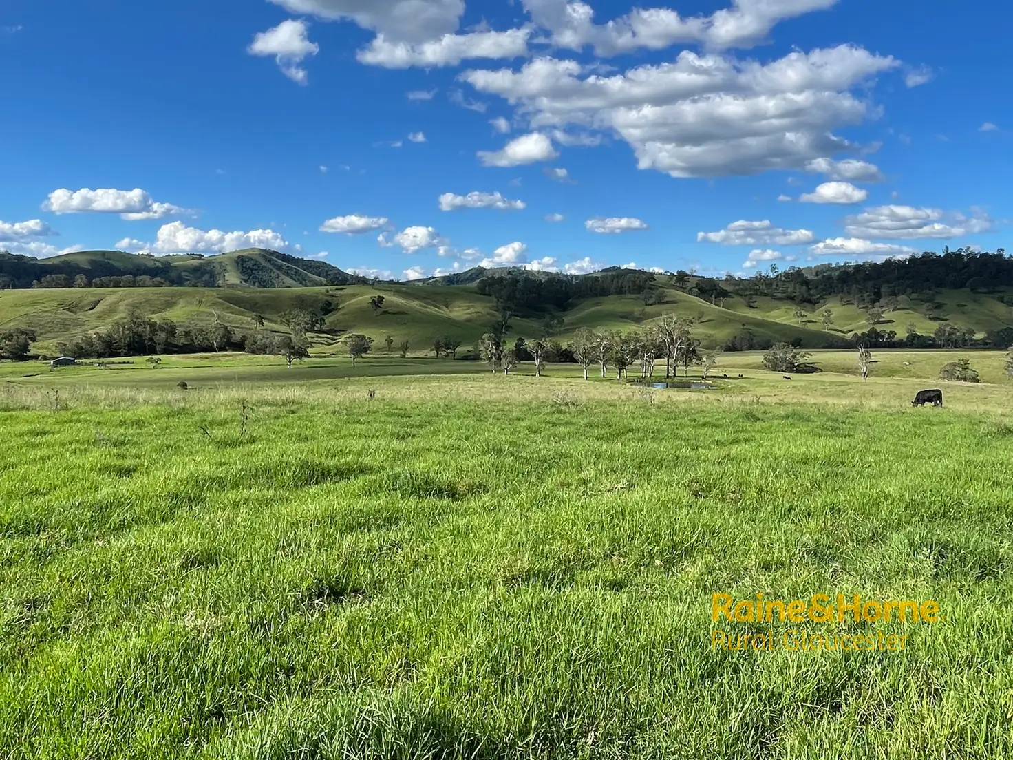 Main view of Homely rural property listing, 732 Bucketts Way East, Gloucester NSW 2422