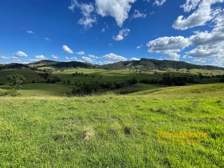 Second view of Homely rural property listing, 732 Bucketts Way East, Gloucester NSW 2422