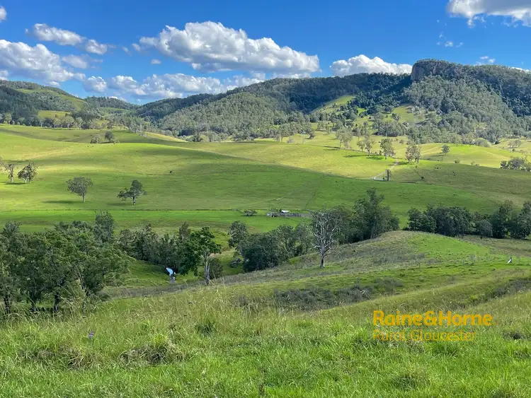 Third view of Homely rural property listing, 732 Bucketts Way East, Gloucester NSW 2422