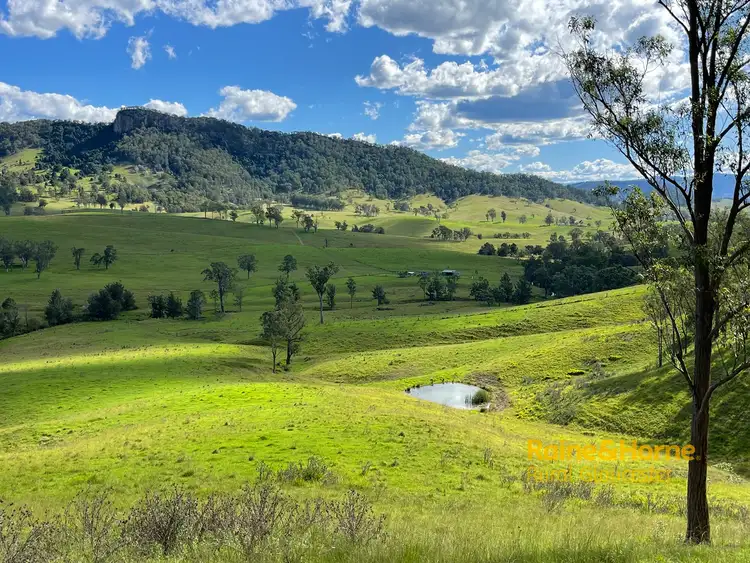 Fourth view of Homely rural property listing, 732 Bucketts Way East, Gloucester NSW 2422