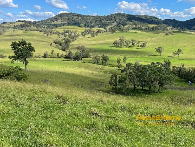 Sixth view of Homely rural property listing, 732 Bucketts Way East, Gloucester NSW 2422