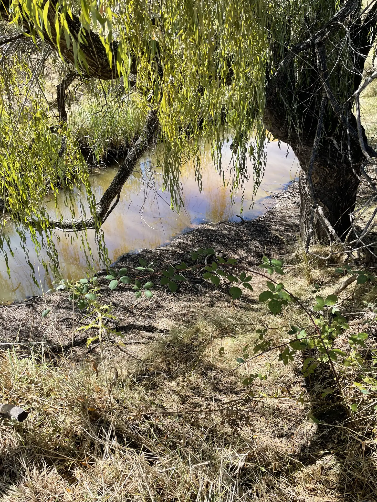 Main view of Homely land listing, 3487 Hill End Road, Mudgee NSW 2850