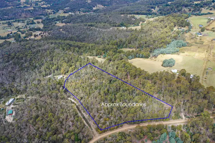 261 Top Swamp Road, Lachlan TAS 7140