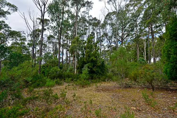 Fifth view of Homely land listing, 261 Top Swamp Road, Lachlan TAS 7140