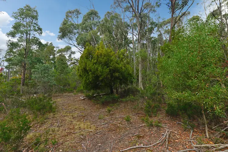 Sixth view of Homely land listing, 261 Top Swamp Road, Lachlan TAS 7140