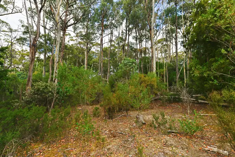 Seventh view of Homely land listing, 261 Top Swamp Road, Lachlan TAS 7140