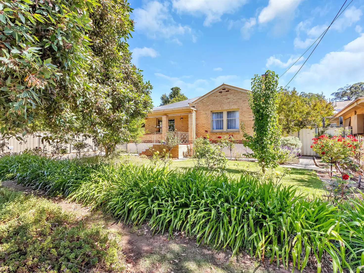 Main view of Homely house listing, 20 Radford Road, Angaston SA 5353