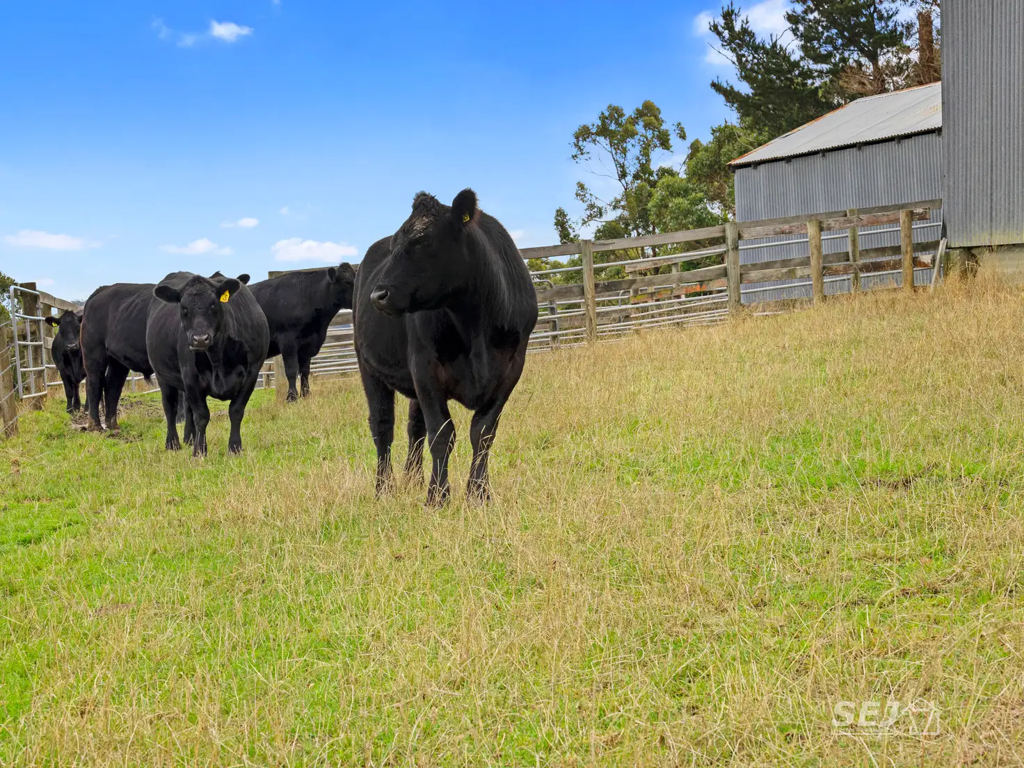 Main view of Homely rural property listing, 110 Forresters Road, Wooreen VIC 3953