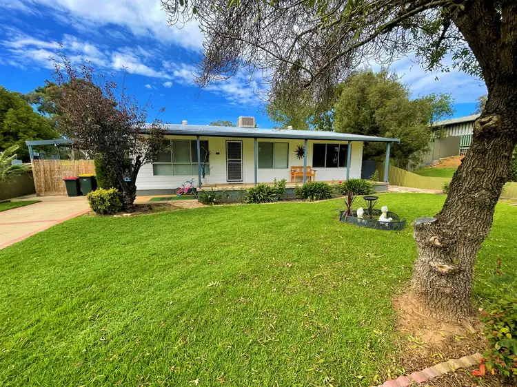 16 Briggs Street, Young NSW 2594