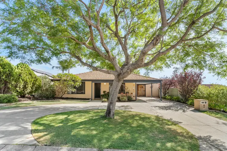 7 Ranunculus Court, Beeliar WA 6164