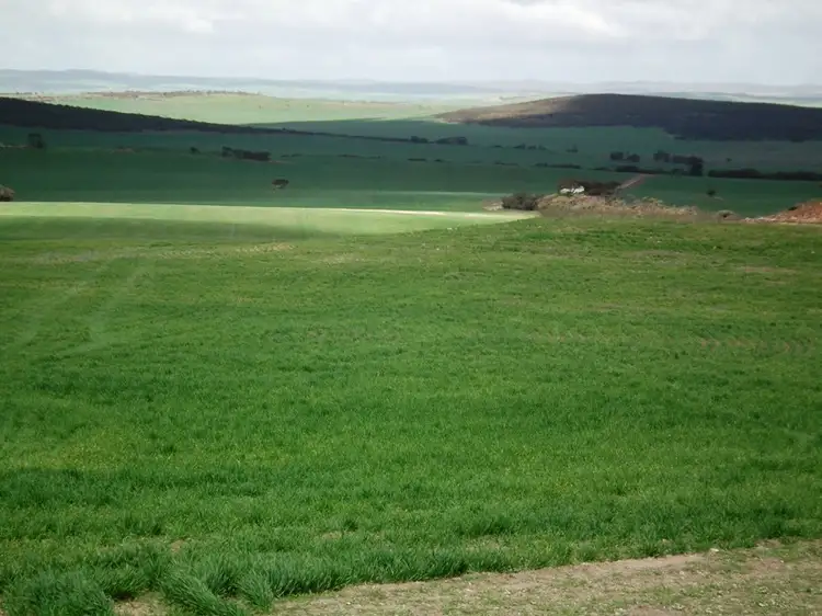 Fourth view of Homely rural property listing, Section 21 Hundred of Heggaton, MANGALO via, Cleve SA 5640