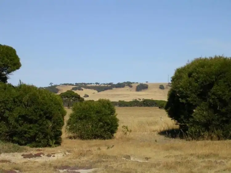 Fourth view of Homely rural property listing, Section 100E North Coast Rd, Menzies SA 5223
