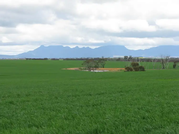 Second view of Homely rural property listing, 11098 Chester Pass Road, Borden WA 6338