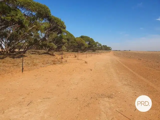 Second view of Homely rural property listing, 8479 Millewa Road, Meringur VIC 3496