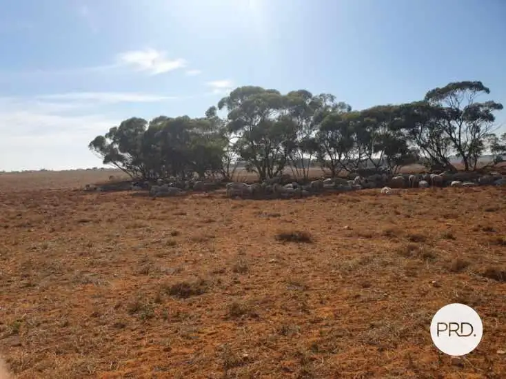 Fourth view of Homely rural property listing, 8479 Millewa Road, Meringur VIC 3496