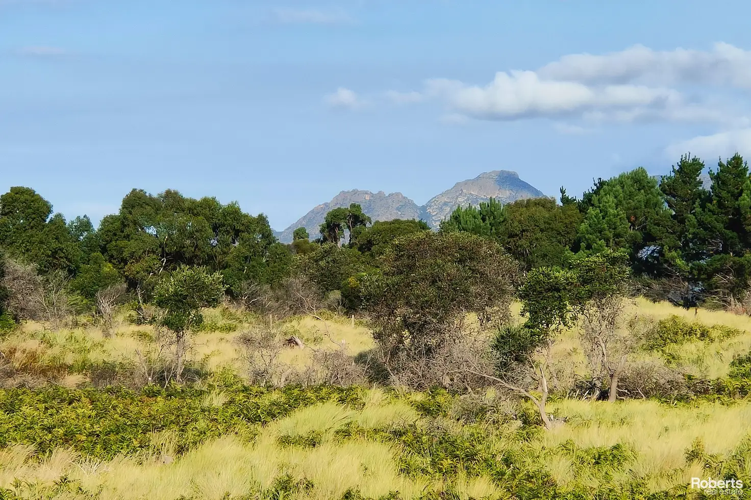 Main view of Homely land listing, 1258 Dolphin Sands Road, Dolphin Sands TAS 7190