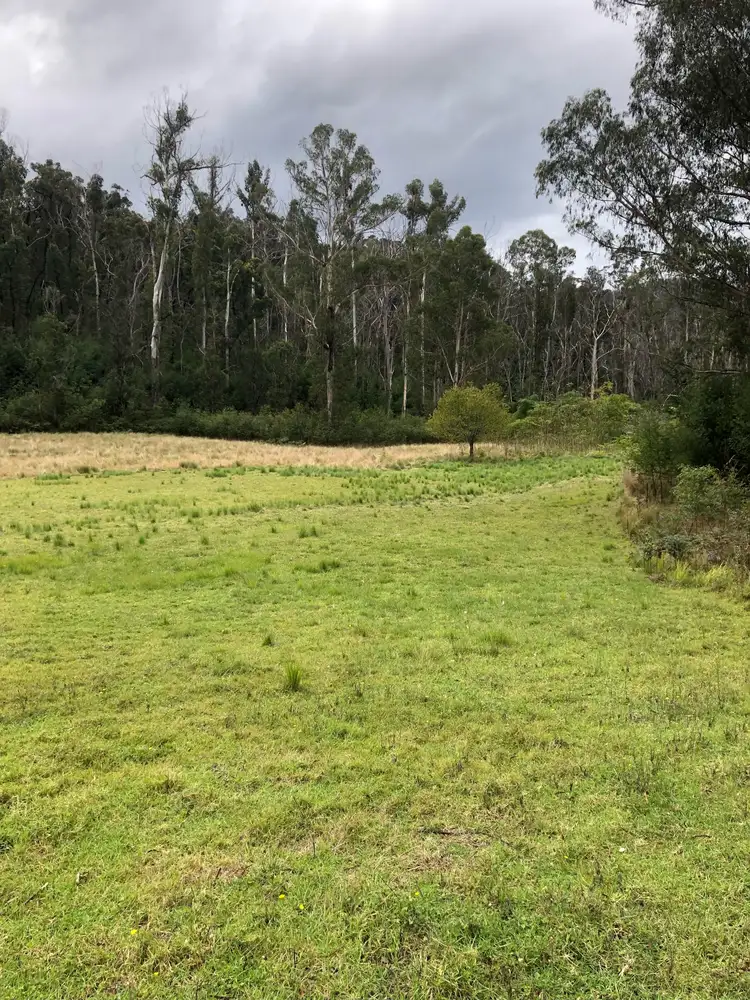 Main view of Homely rural property listing, 555 Bryces Road, Nerrigundah NSW 2545