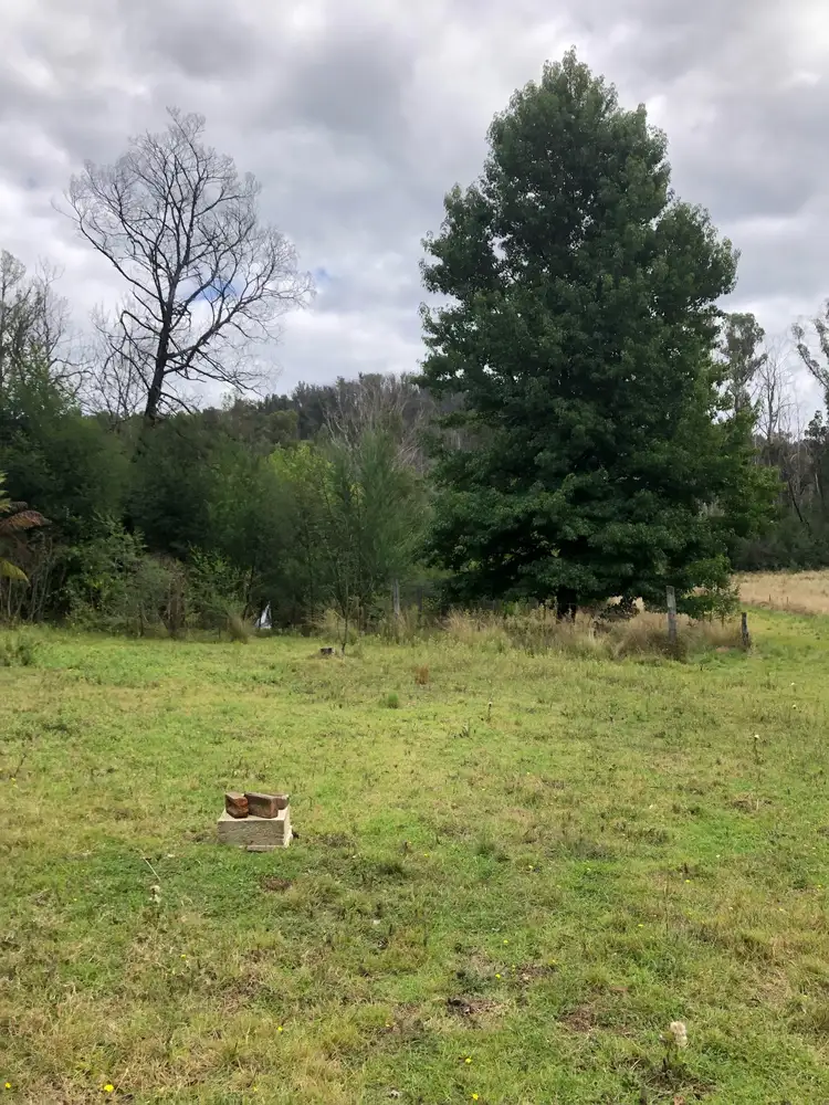 Fifth view of Homely rural property listing, 555 Bryces Road, Nerrigundah NSW 2545