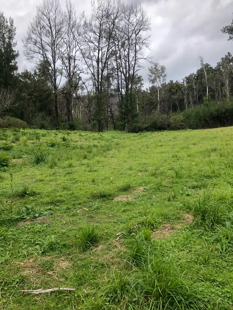 Seventh view of Homely rural property listing, 555 Bryces Road, Nerrigundah NSW 2545