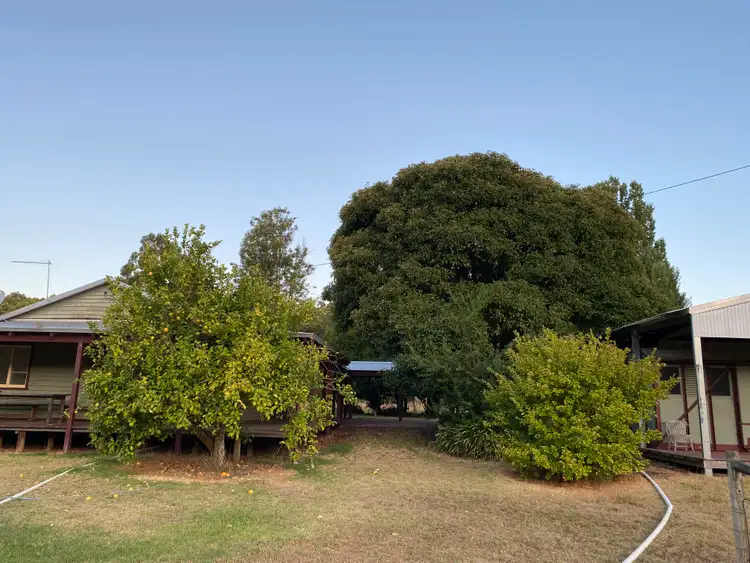 Second view of Homely rural property listing, 469 Glauders Road (Collins), Pemberton WA 6260