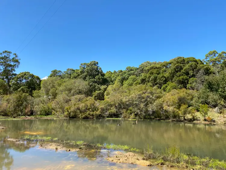 Third view of Homely rural property listing, 469 Glauders Road (Collins), Pemberton WA 6260