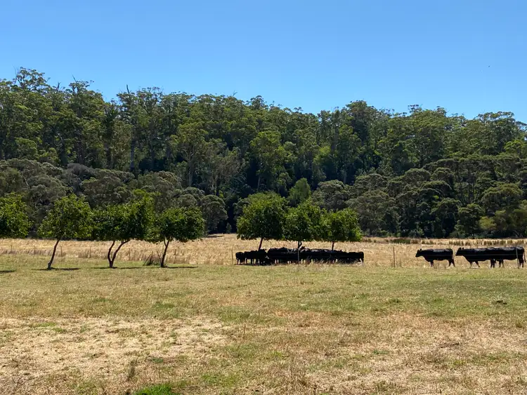 Fifth view of Homely rural property listing, 469 Glauders Road (Collins), Pemberton WA 6260