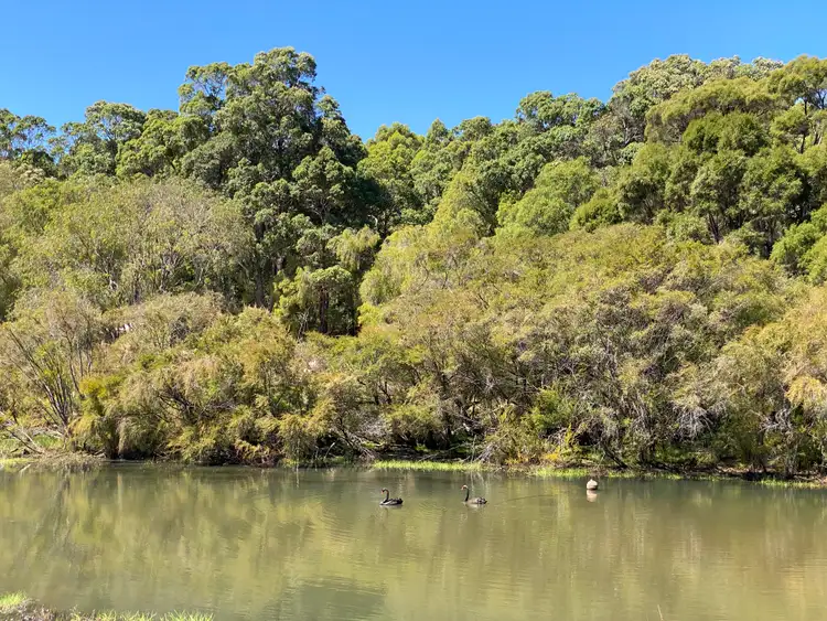 Seventh view of Homely rural property listing, 469 Glauders Road (Collins), Pemberton WA 6260