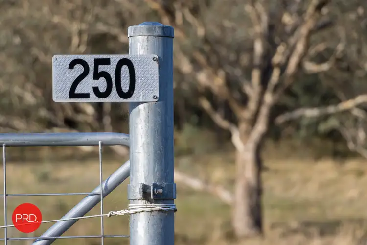 Fourth view of Homely rural property listing, 250 The Forest Road, Bywong NSW 2621
