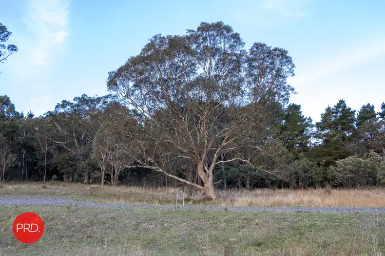 Sixth view of Homely rural property listing, 250 The Forest Road, Bywong NSW 2621