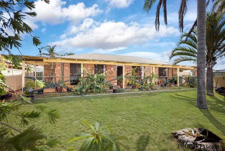 Main view of Homely house listing, 18 Nerrel Street, Waggrakine WA 6530