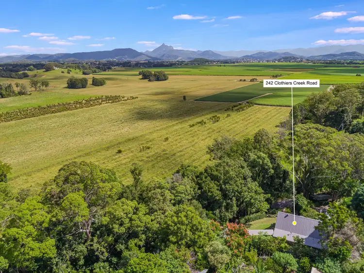 Fifth view of Homely house listing, 242 Clothiers Creek Road, Nunderi NSW 2484