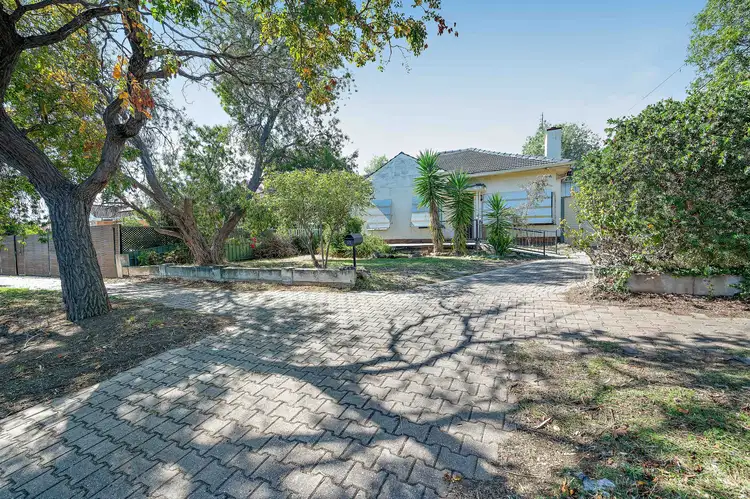 Second view of Homely house listing, 23 Eliza Place, Panorama SA 5041