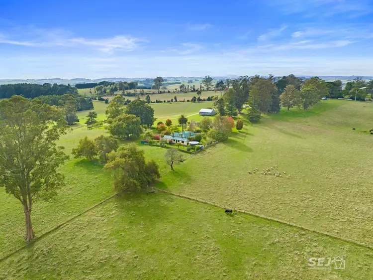 Main view of Homely rural property listing, 295 Toomeys Creek Road, Mardan VIC 3953