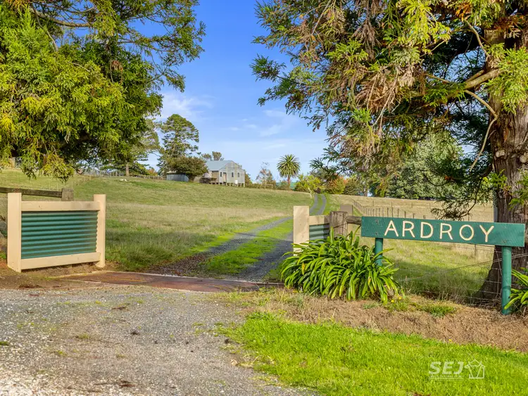 Second view of Homely rural property listing, 295 Toomeys Creek Road, Mardan VIC 3953