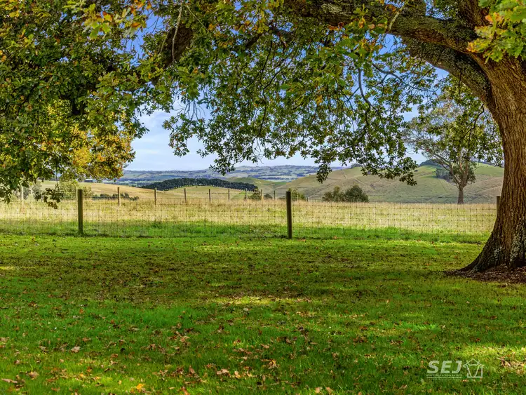Fourth view of Homely rural property listing, 295 Toomeys Creek Road, Mardan VIC 3953