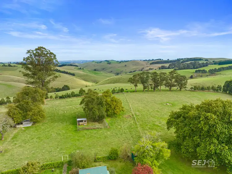 Sixth view of Homely rural property listing, 295 Toomeys Creek Road, Mardan VIC 3953