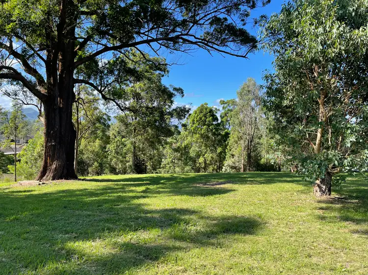 10 Adelaide Close, Wingham NSW 2429
