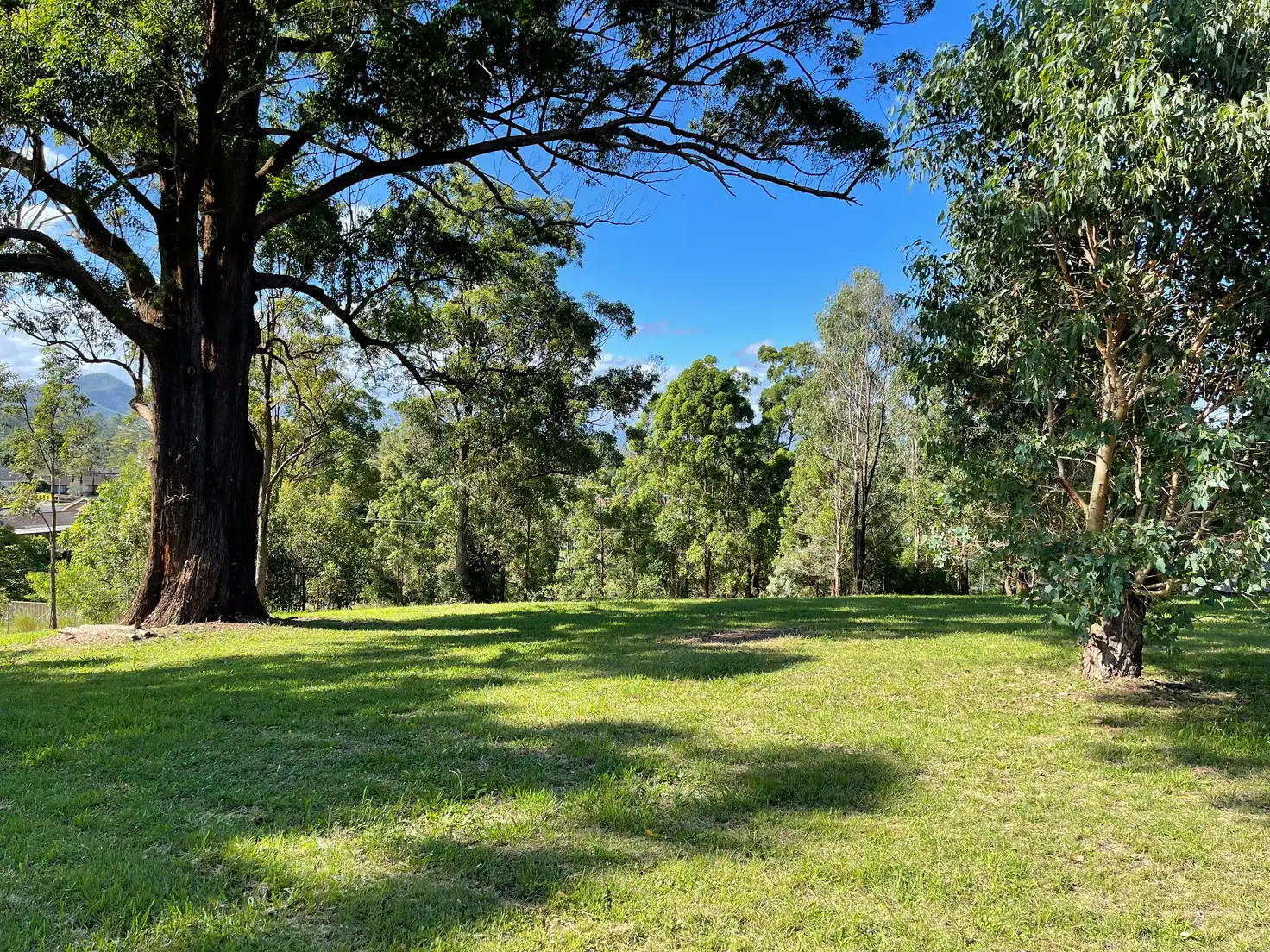 Main view of Homely land listing, 10 Adelaide Close, Wingham NSW 2429