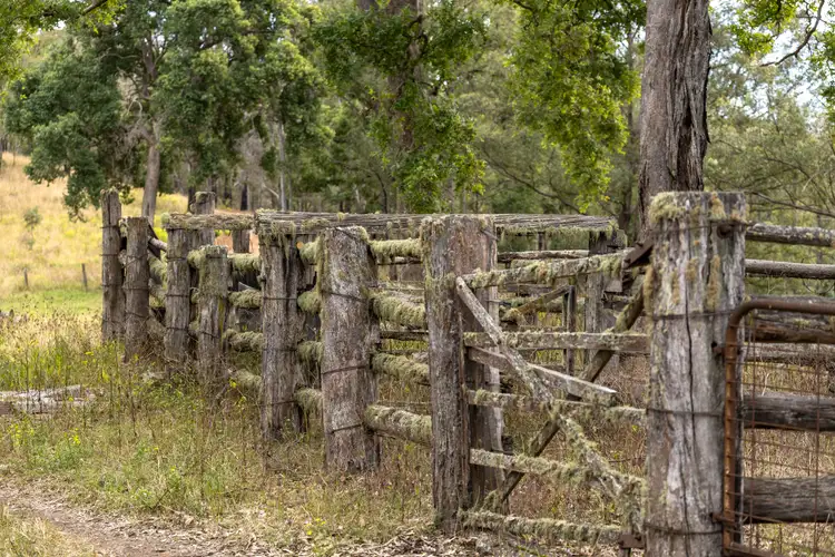 Seventh view of Homely rural property listing, Lot 45/McPhersons Country Estates, Enfield Range Road, Cells River NSW 2424