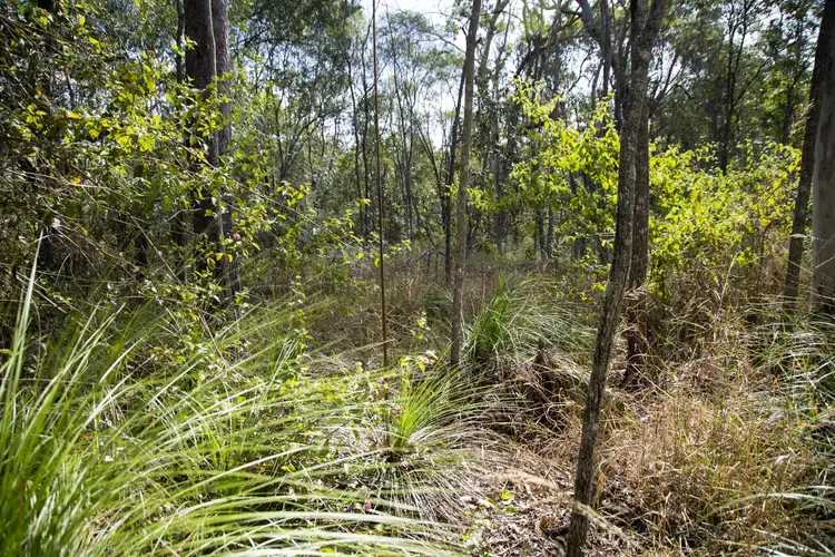 Third view of Homely land listing, Lot 4 Dillon Road, Captain Creek QLD 4677