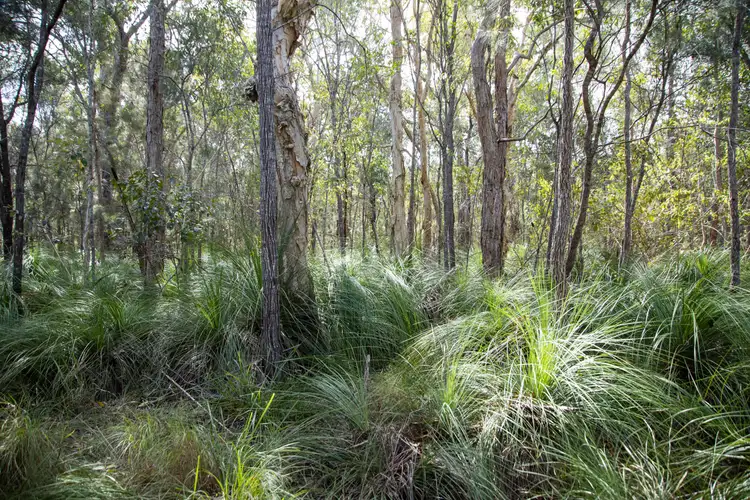 Sixth view of Homely land listing, Lot 4 Dillon Road, Captain Creek QLD 4677