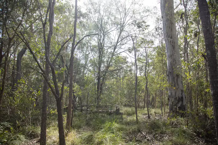 Seventh view of Homely land listing, Lot 4 Dillon Road, Captain Creek QLD 4677