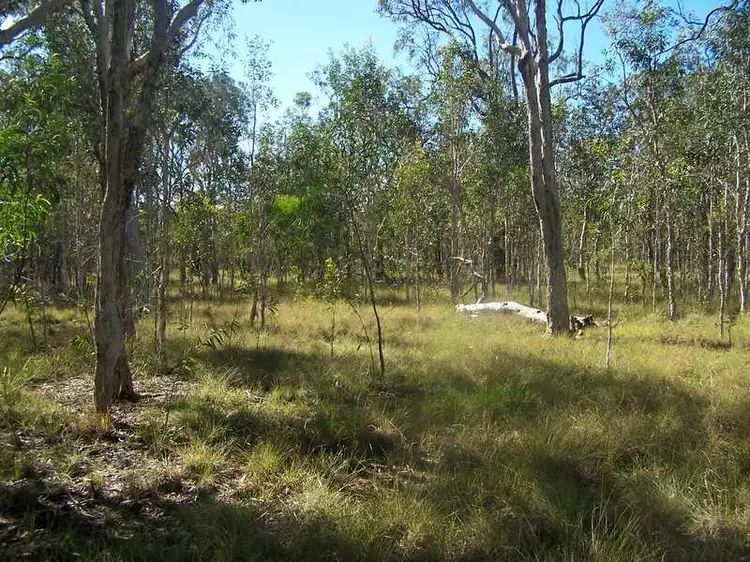 Second view of Homely land listing, LOT 70 Matchbox, Deepwater QLD 4674