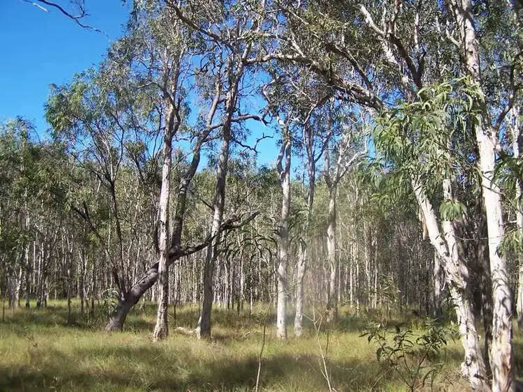 Third view of Homely land listing, LOT 70 Matchbox, Deepwater QLD 4674