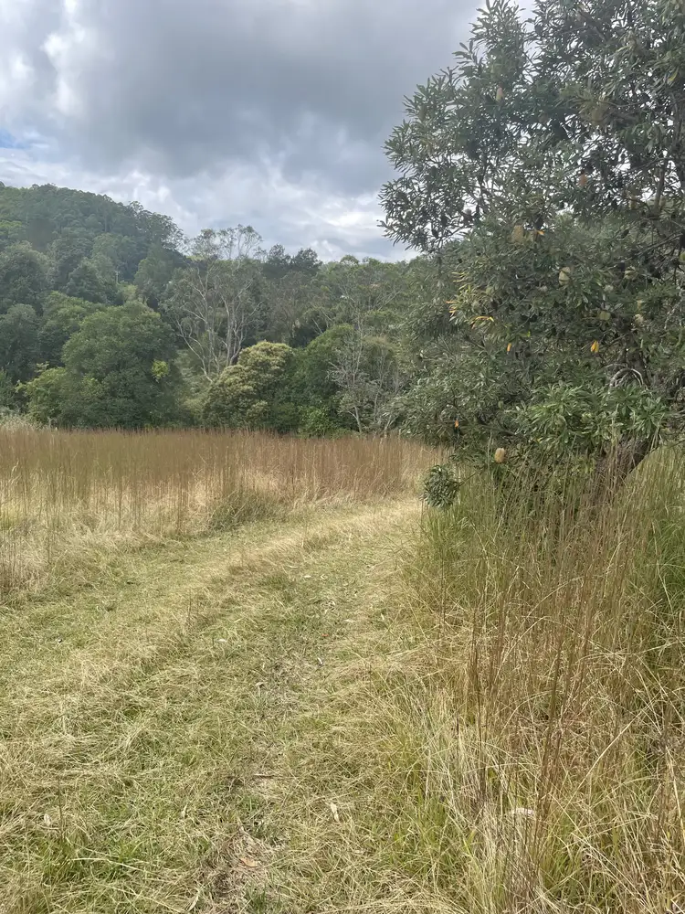 Sixth view of Homely land listing, 45 Tilbaroo Road, Elands NSW 2429