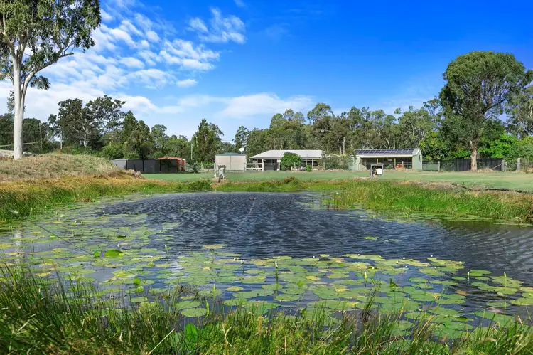 Main view of Homely house listing, 53 Carter Lane, Dundathu QLD 4650