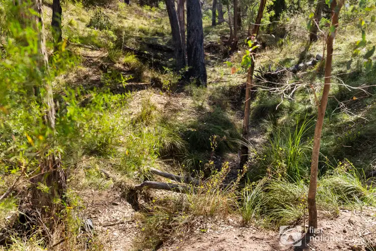 Sixth view of Homely rural property listing, Lot 164 Mount Pleasant Lane, Mudgee NSW 2850